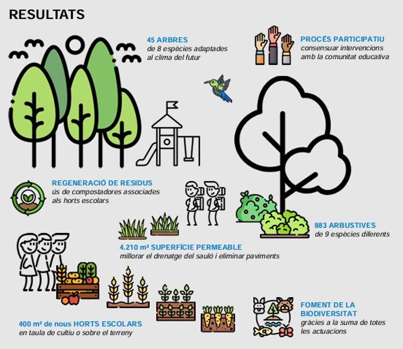 renatura escoles.jpeg