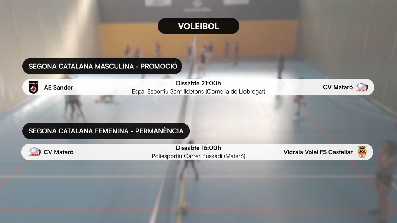 VOLEI (5).png