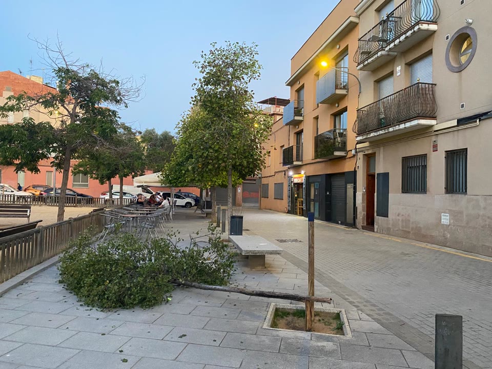 WhatsApp Image 2025-10-23 at 19.11.13.jpeg