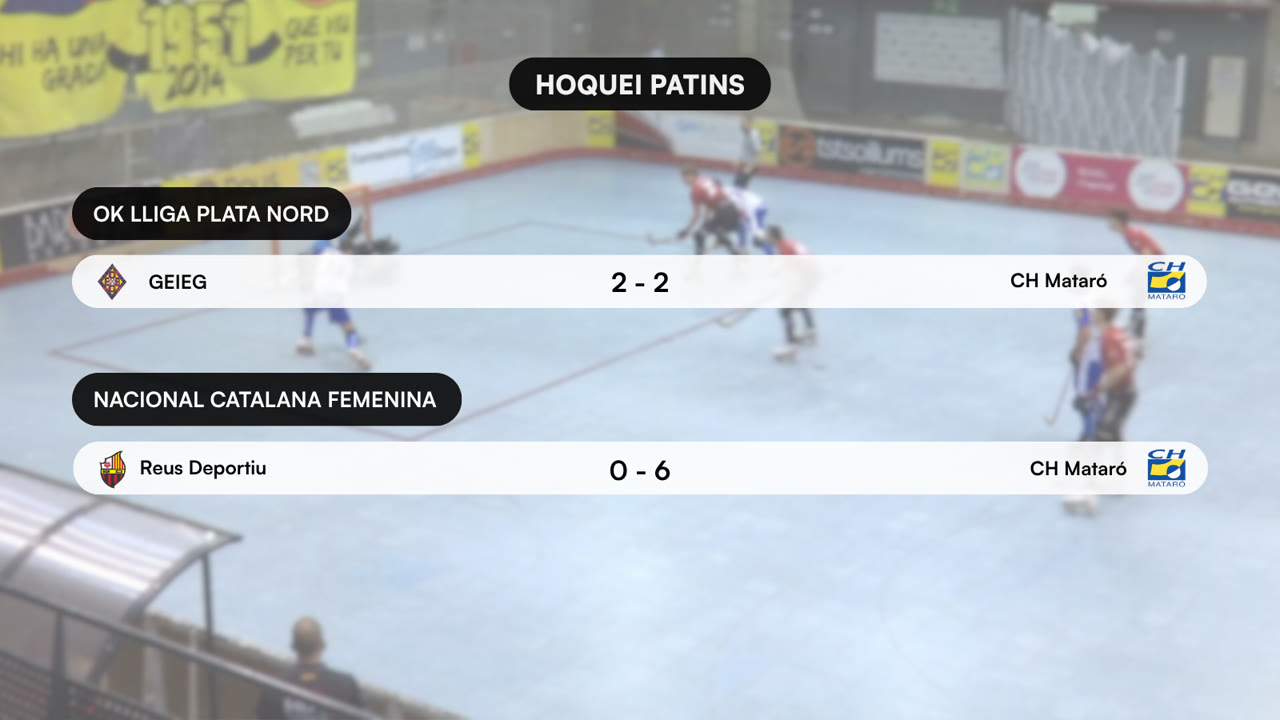HOQUEI PATINS.png