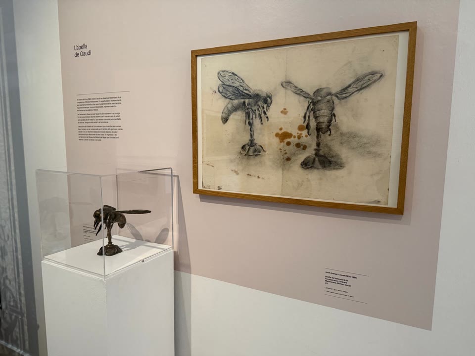 WhatsApp Image 2026-05-15 at 14.49.44 (1).jpeg