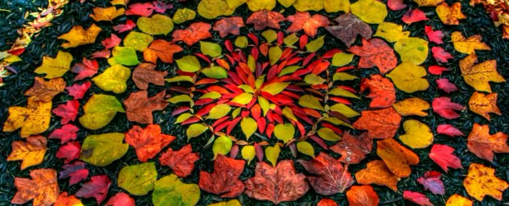 land art.jpg