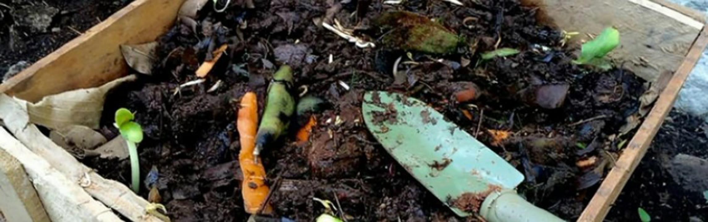 Fem compost per a millorar l’hort, el jardí i les torretes.jpg