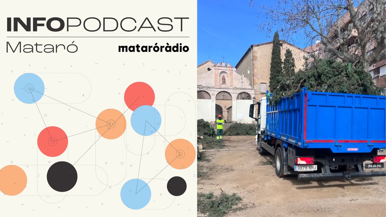 linfopodcast-del-17-de-febrer-de-2026