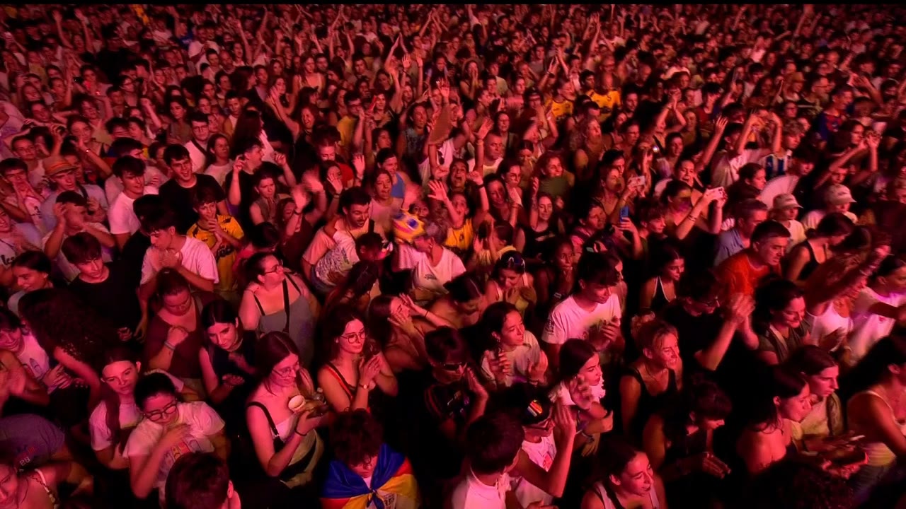 Públlic al concert dels The Tyets.jpg