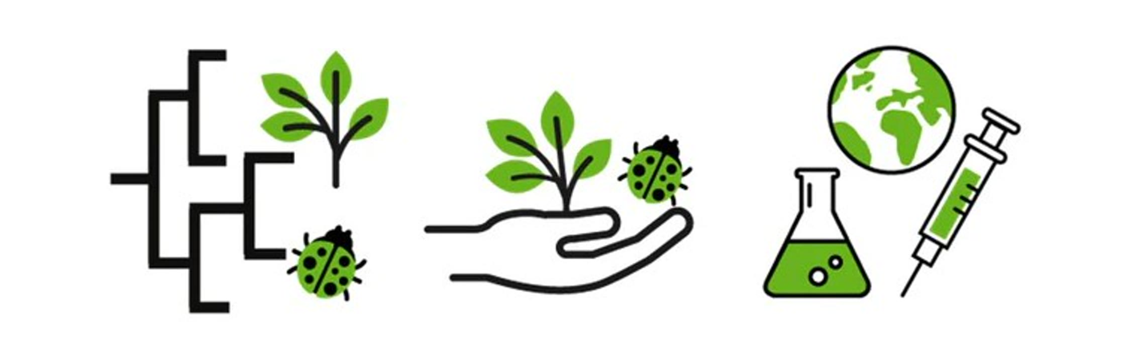 Seqüenciar els genomes....jpg