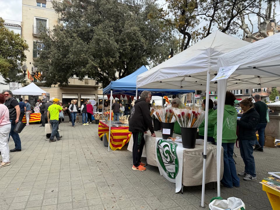 WhatsApp Image 2026-04-23 at 15.27.33.jpeg