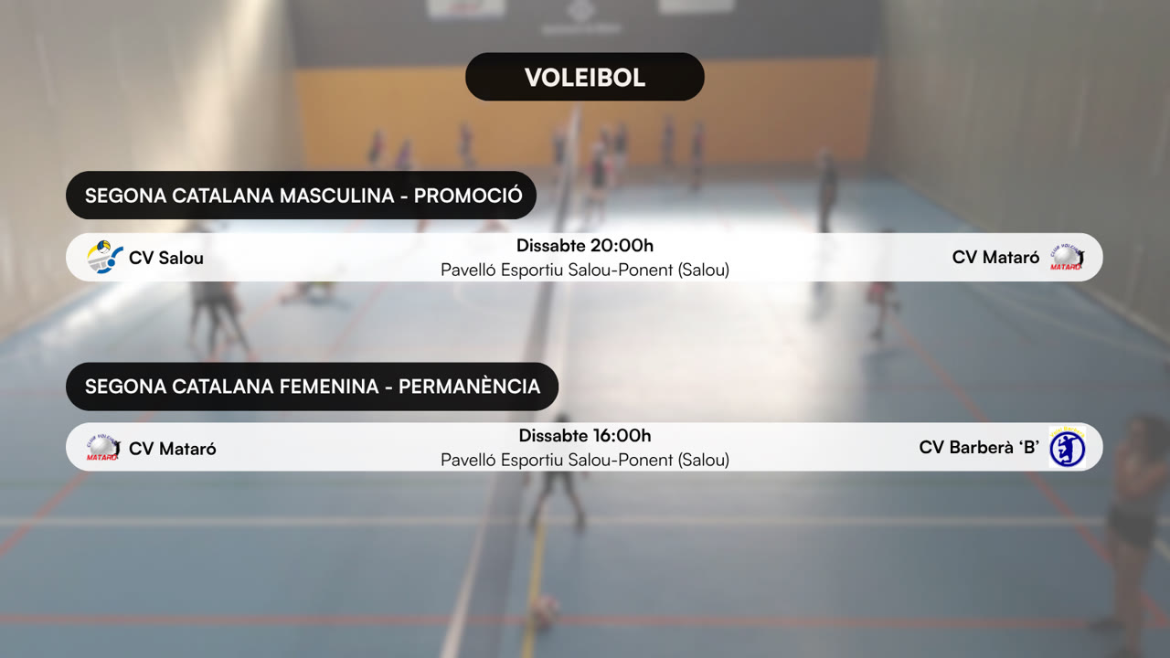 VOLEI (2).png