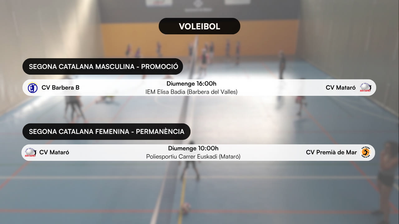 VOLEI (3).png